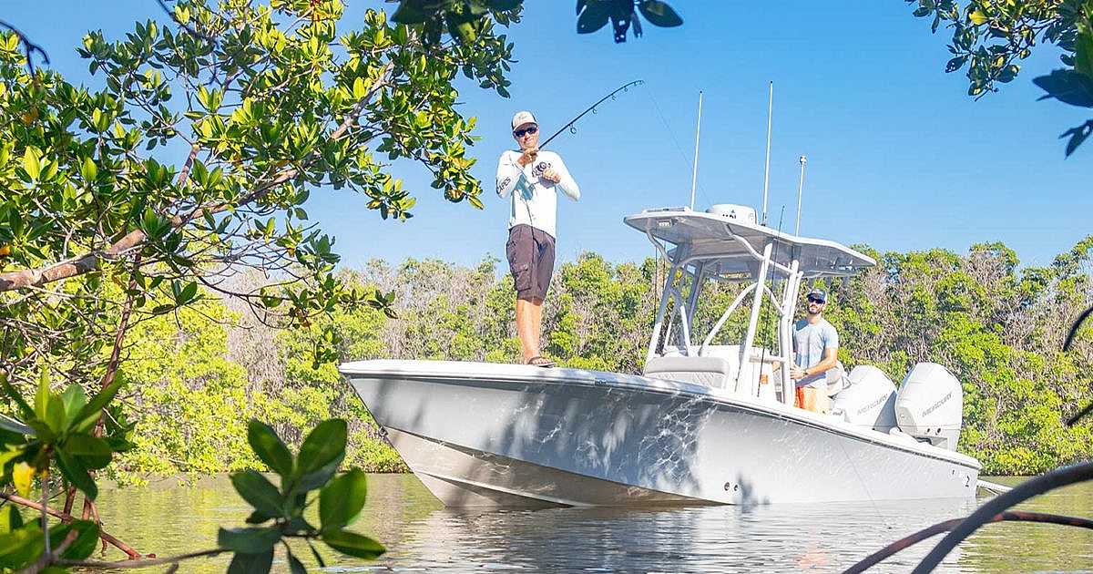 270z Model Info SeaVee Boats