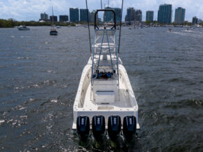 View full size image of 2017 Seavee 390Z