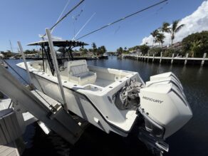 View full size image of 2021 SeaVee 370Z