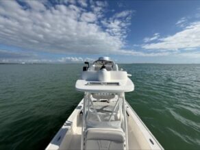 View full size image of 2024 SeaVee 270Z